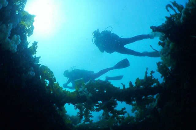 西海国立公園、九十九島エリアに潜るダイビング